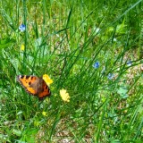 IMG_20190611_104304461_HDR2