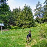 IMG_20190611_105600508_HDR3