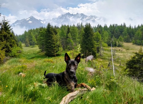 IMG_20190611_113910156_HDR2.jpg