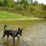 IMG_20190611_1158563472