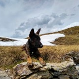 IMG_20190611_132405523_HDR2
