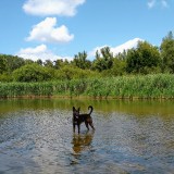 IMG_20190707_1434272282