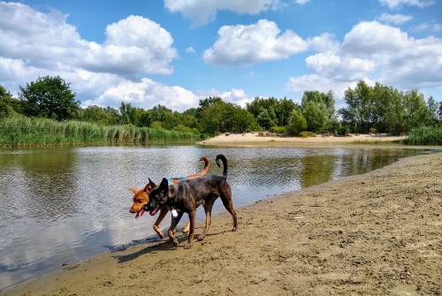 IMG_20190707_143547446_HDR2.jpg