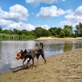IMG_20190707_143547446_HDR2