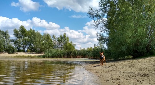 IMG_20190707_145120302_HDR2.jpg