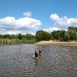 IMG_20190707_1453132412