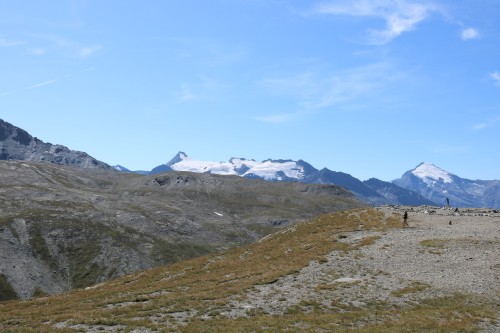 IMG_6593.jpg