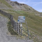 IMG_6665