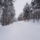 20191225_122750
