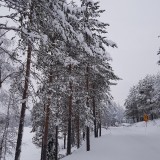 20191225_122820