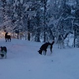 20191227_084134