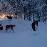 20191227_084152