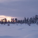 20191227_101447