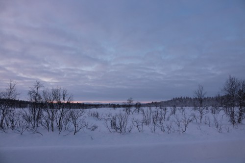 IMG_6820.jpg