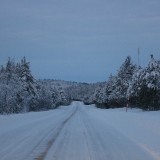 IMG_6825