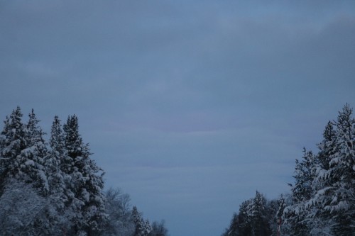 IMG_6831.jpg