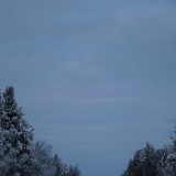 IMG_6831