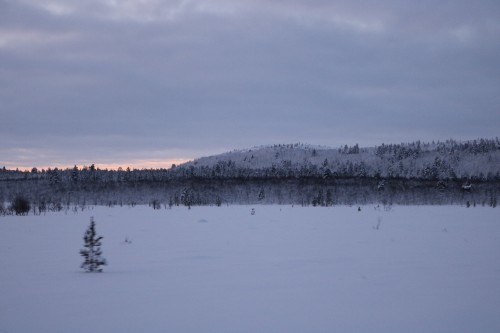 IMG 6832