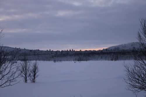 IMG 6835