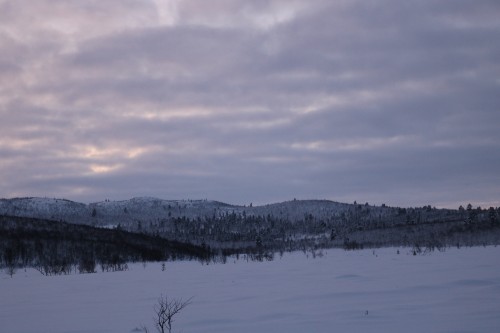 IMG_6837.jpg