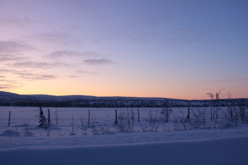 IMG_6838.jpg