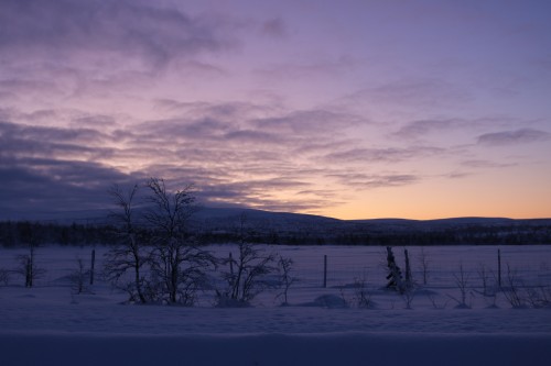 IMG_6839.jpg