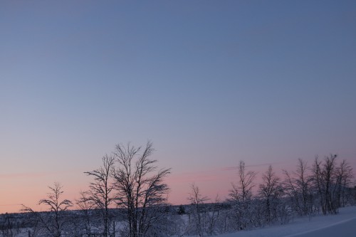 IMG_6840.jpg