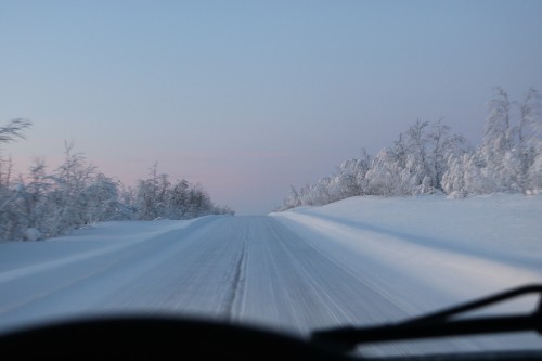 IMG_6843.jpg