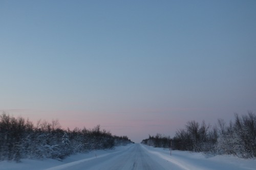 IMG_6844.jpg