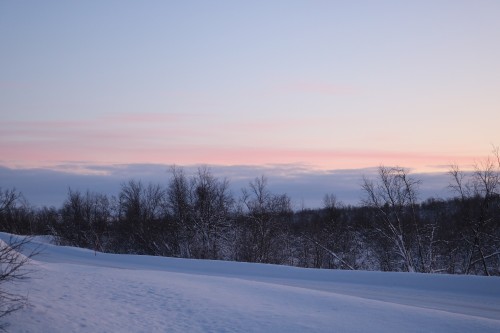 IMG_6846.jpg