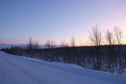 IMG_6854.jpg