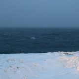 IMG_6899