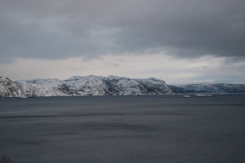 IMG_6903.jpg