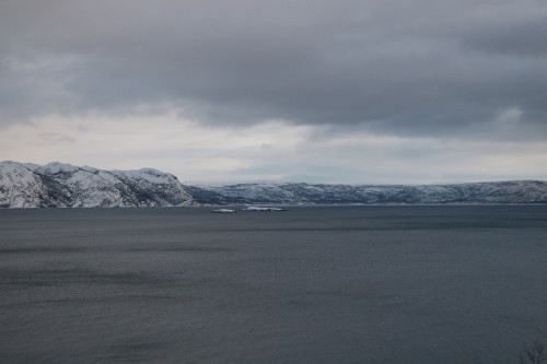 IMG_6904.jpg