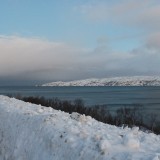 IMG_6905