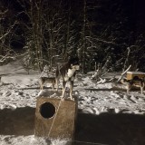 20191231_171007
