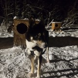 20191231_173501