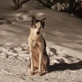 20191231_173644