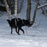 IMG_6921