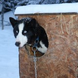 IMG_6922