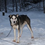 IMG_6926