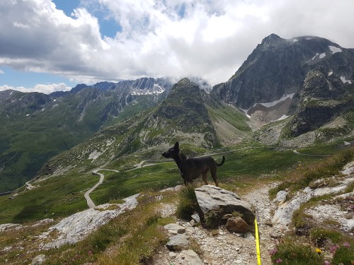 Colle del Gran San Bernardo
