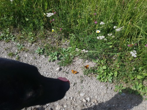 20200715_105923.jpg