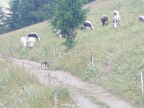 20200715_120133.jpg