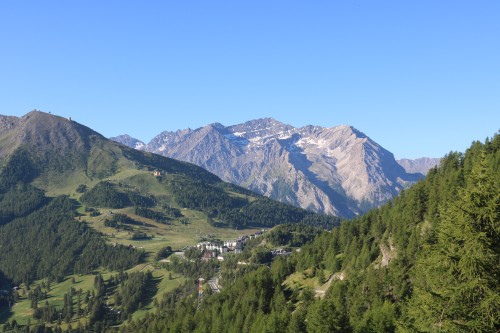 IMG_6945.jpg