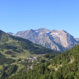 IMG_6945