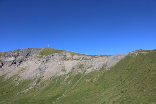 IMG_6953.jpg