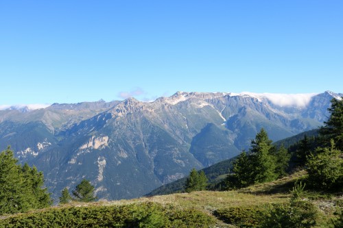 IMG_6977.jpg