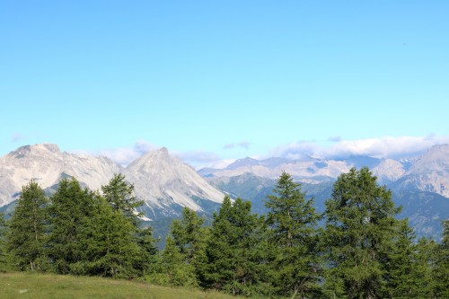 IMG_6979.jpg