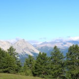 IMG_6979